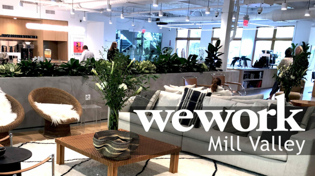WeWork Mill Valley Lounge Area